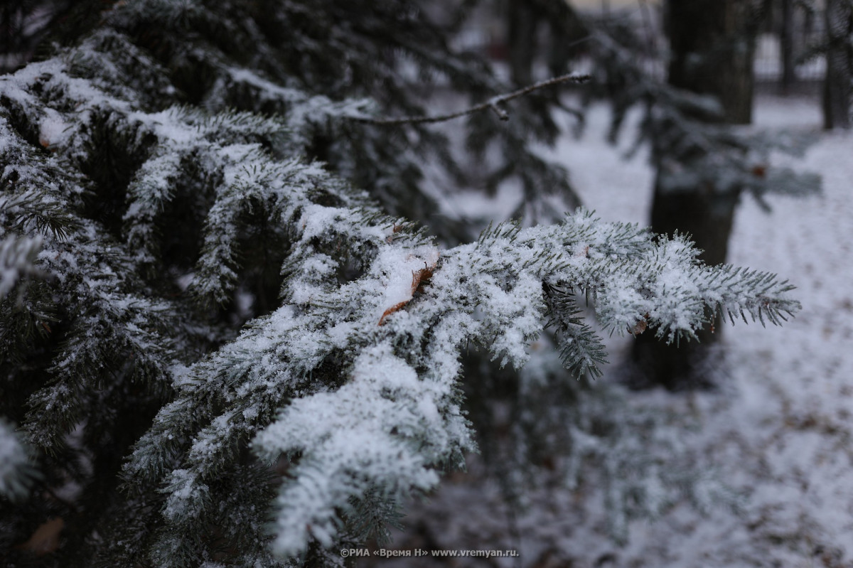 Снег и до -3°C ожидается в Нижнем Новгороде 25 ноября