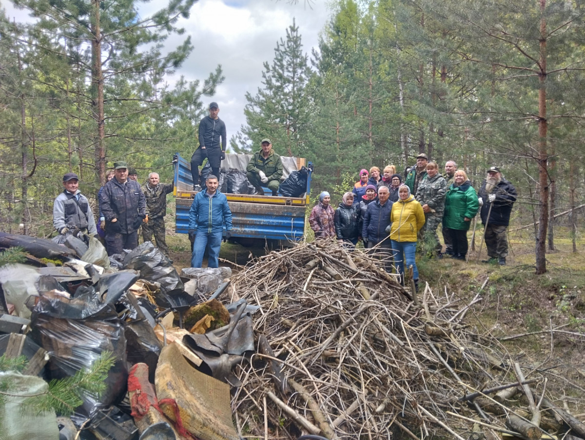Более 35 кубометров мусора вывезли с территории Борского районного лесничества в ходе акции «Чистый лес»