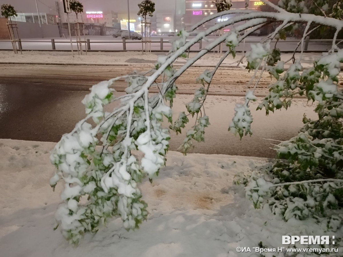 Опубликован фоторепортаж майского снегопада в Нижнем Новгороде