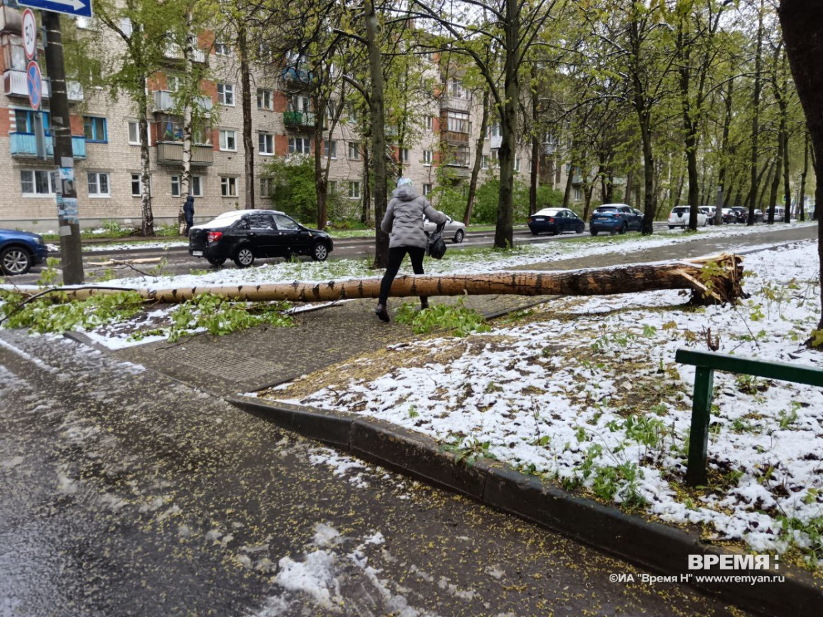 Сломанные деревья и оборванные провода: последствия непогоды в Нижнем Новгороде